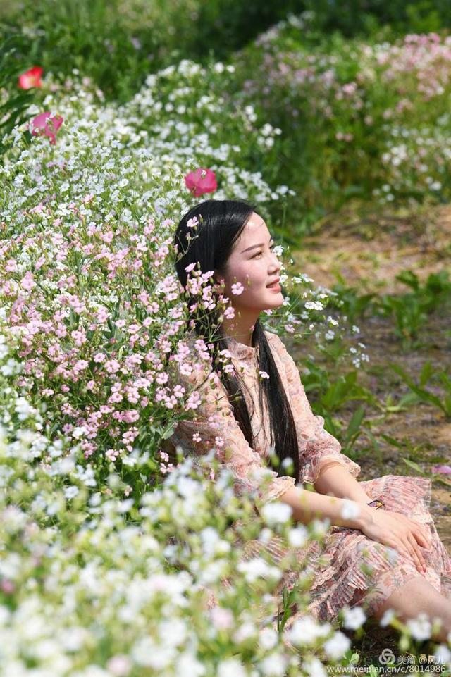 大美新蔡生态水城,大美新蔡等你来