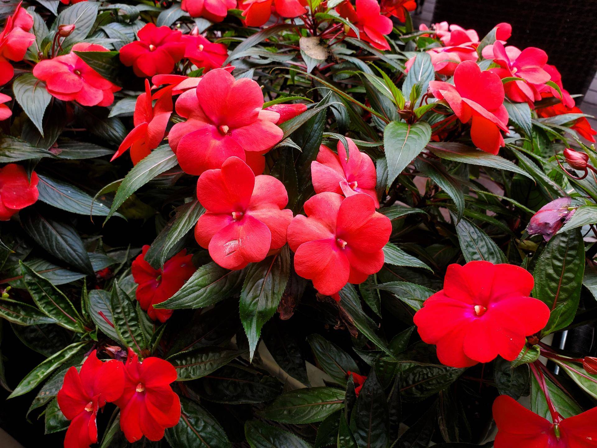 三星s10e测评视频,三星s10e才是最好的小屏手机