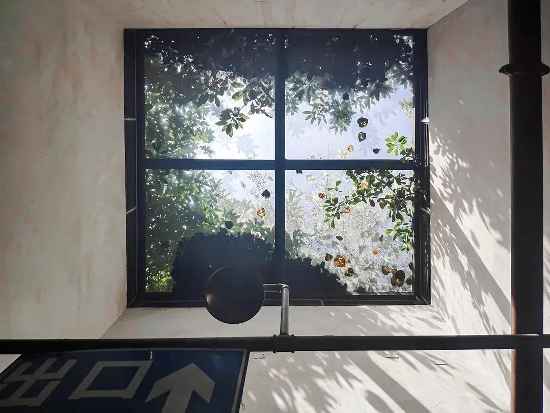 12个“无用”之美,第一个就被惊艳到了