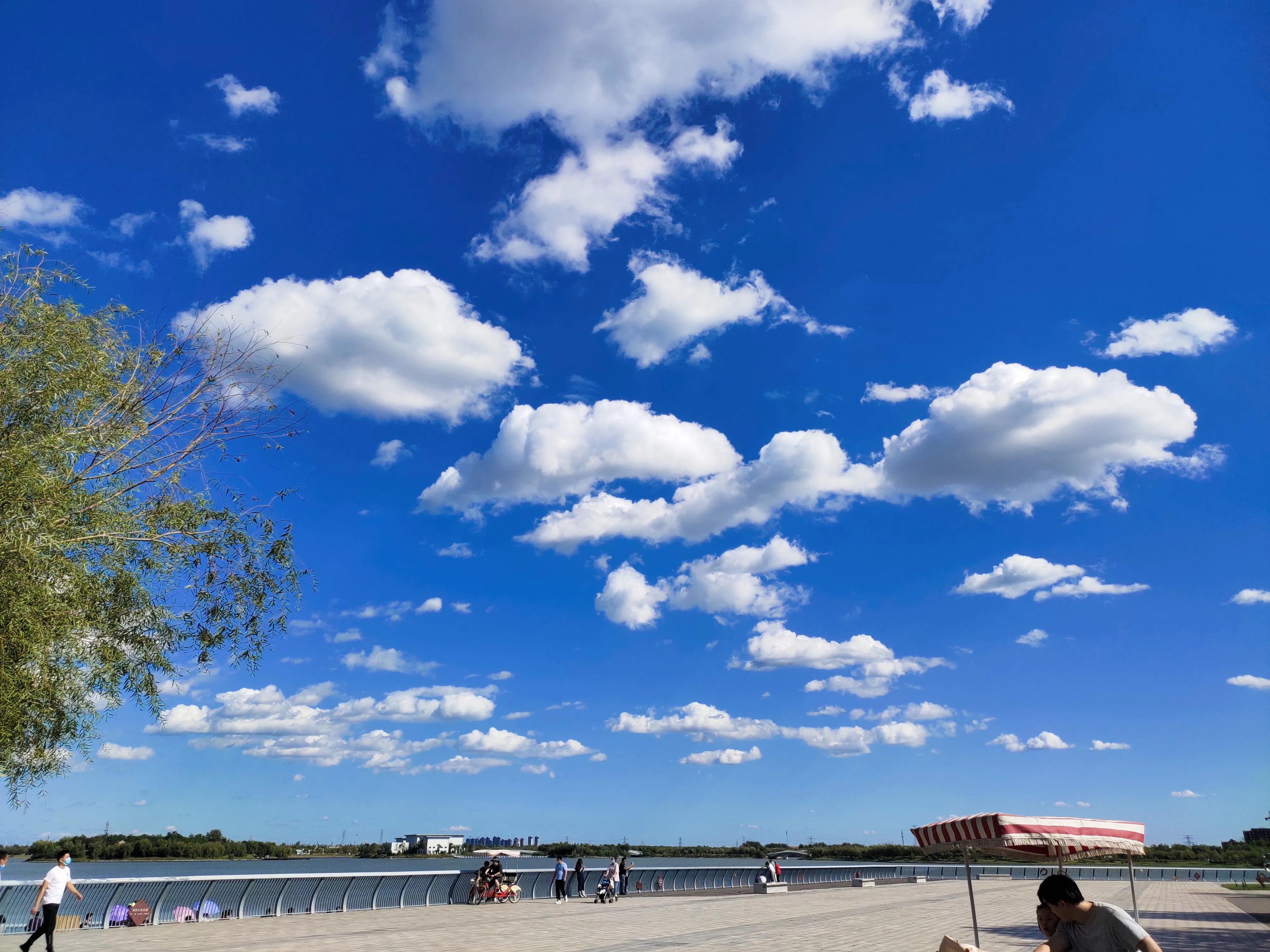 武清南湖公园免费,武清南湖公园门票多少钱