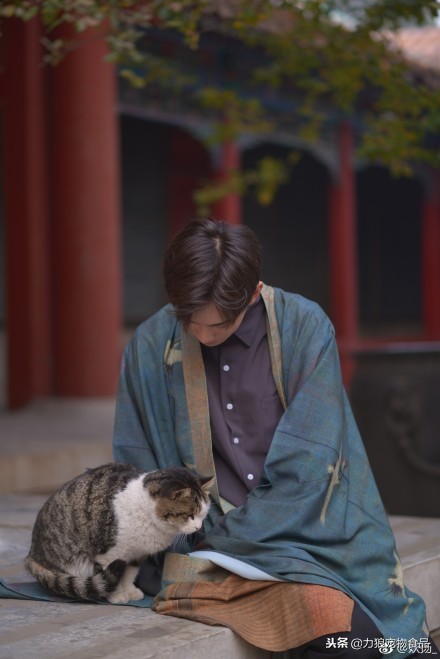 故宫的御前带爪护卫小崽儿,回喵星了……