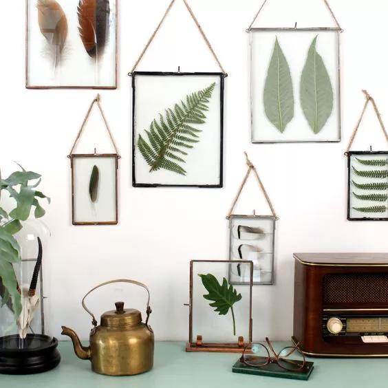 她用这种高颜值的干花装饰家里，隔壁邻居都惊叹不已