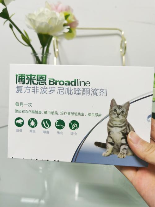 博来恩和大宠爱驱虫,博来恩与大宠爱哪个好