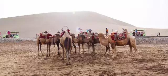 她的美是你无法企及的,她的美是不可方物的美