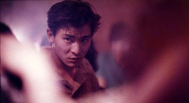 阿飞正传深度解析,阿飞正传最后三分钟分析