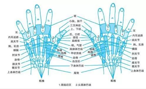按按手，向鼠标手说拜拜