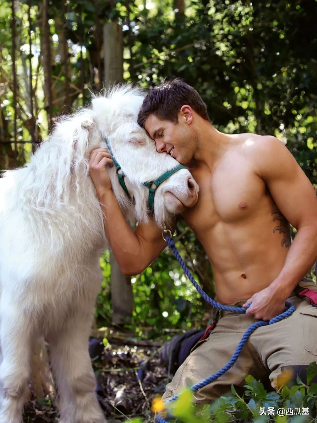 新鲜日历出炉，性感帅哥被萌宠们抢镜了