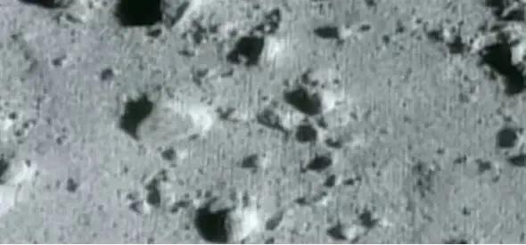 北京时间2019年7月25日9点22分,人类差点就灭亡了?