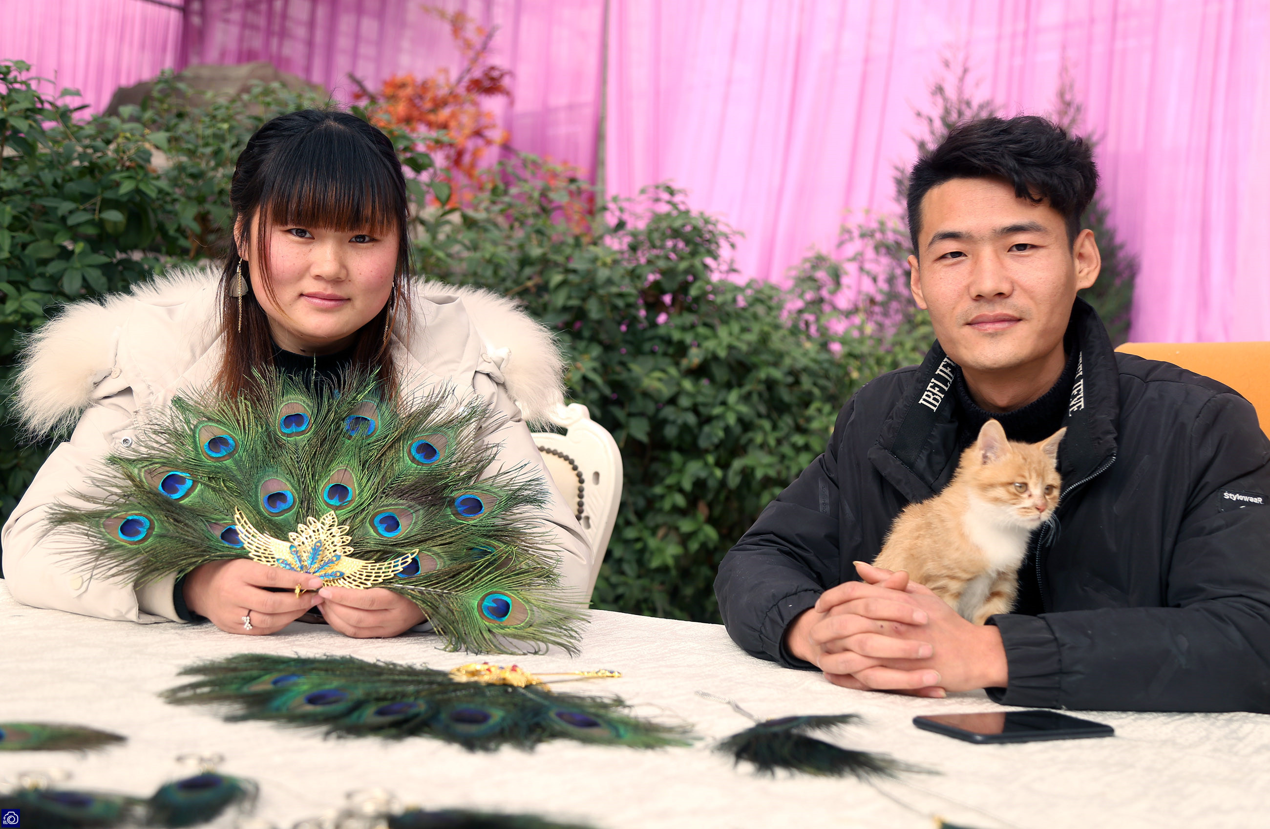 在家里养了差不多十几只孔雀,养孔雀150只