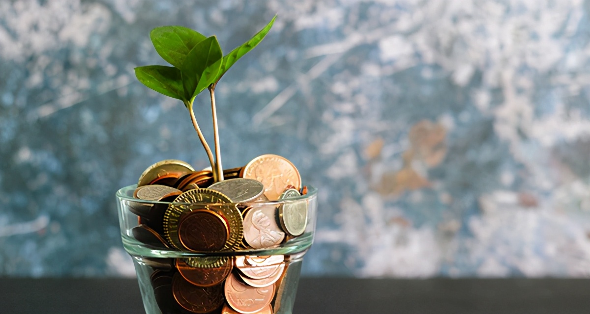 活久见理财,活久见定投计划2004