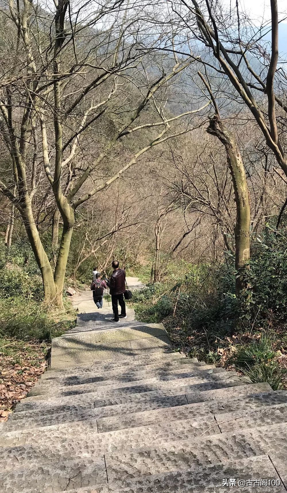 越王峥大峡谷：风景壮美，迷倒众生