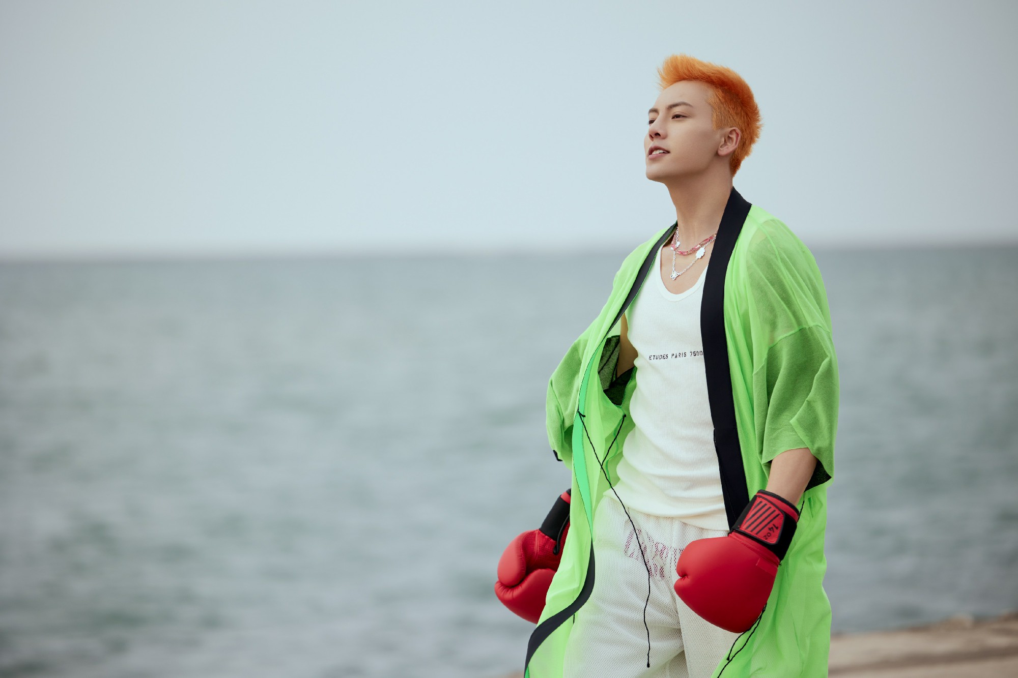 陈伟霆lady新歌,陈伟霆loveu2