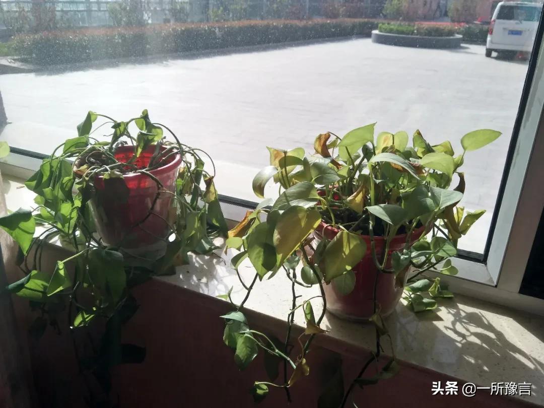 来自一位毕业生自述,来自一个年轻人的自述