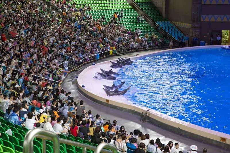 带孩子去长隆旅行攻略,长隆旅游攻略亲子游省钱攻略