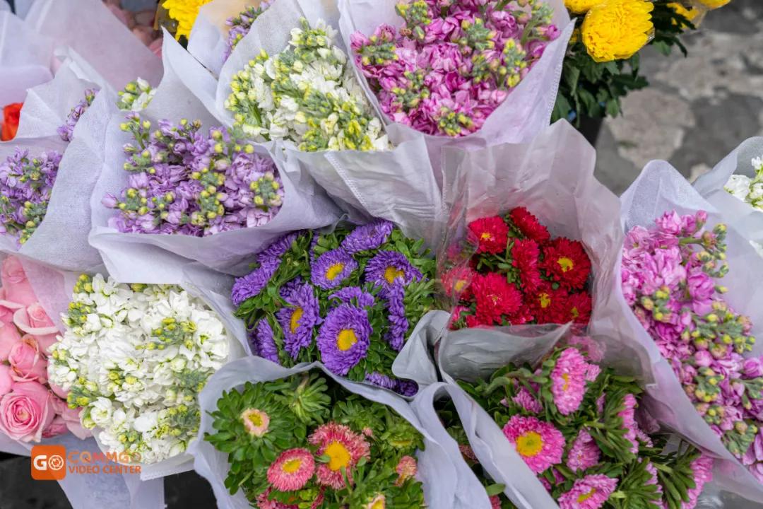 重庆花市排名前十名,重庆花市哪里最便宜