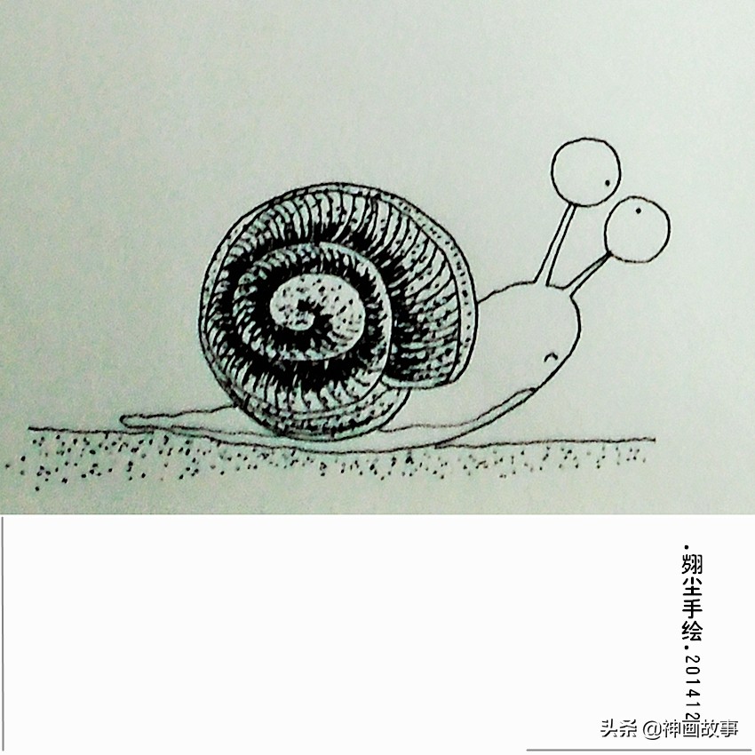 彩铅画q萌的萌宠,怎样画超写实宠物插画