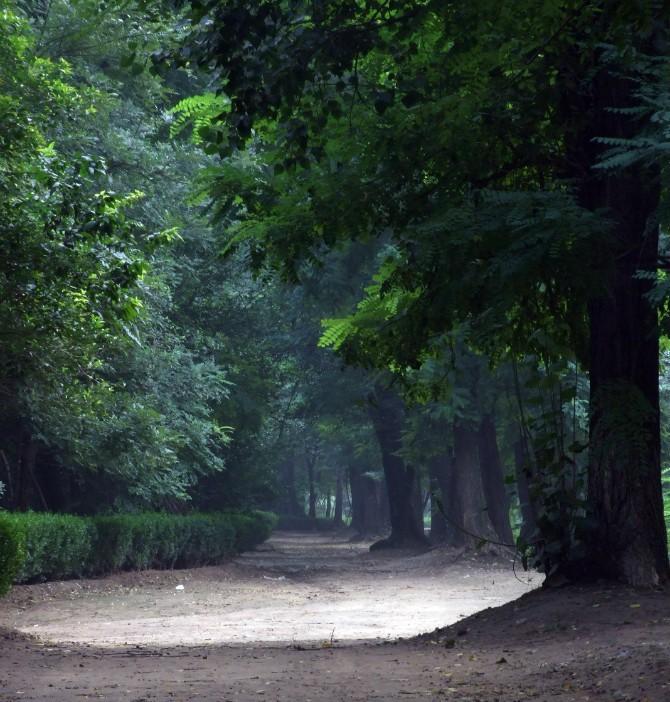 被郑州人藏起来不告诉外地人的四大景点，小伙冒死递出情报