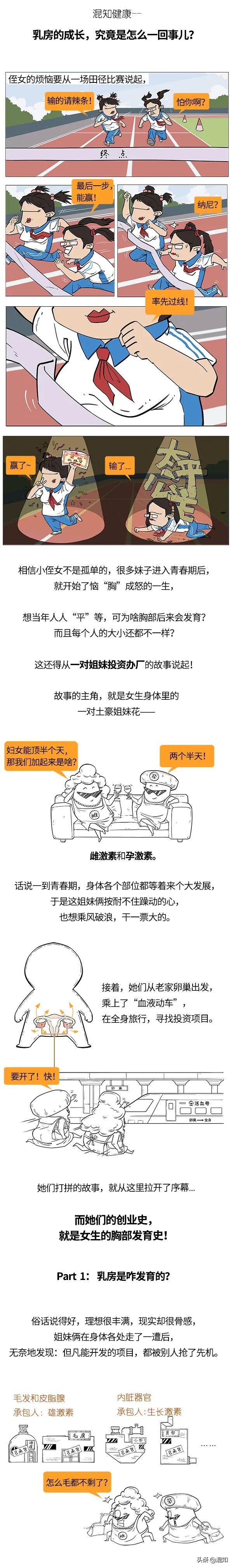 胸部发育了解,关于胸部发育的小知识