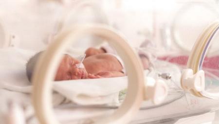 父母怎样给早产儿进行合理喂养,早产儿如何喂养比较好