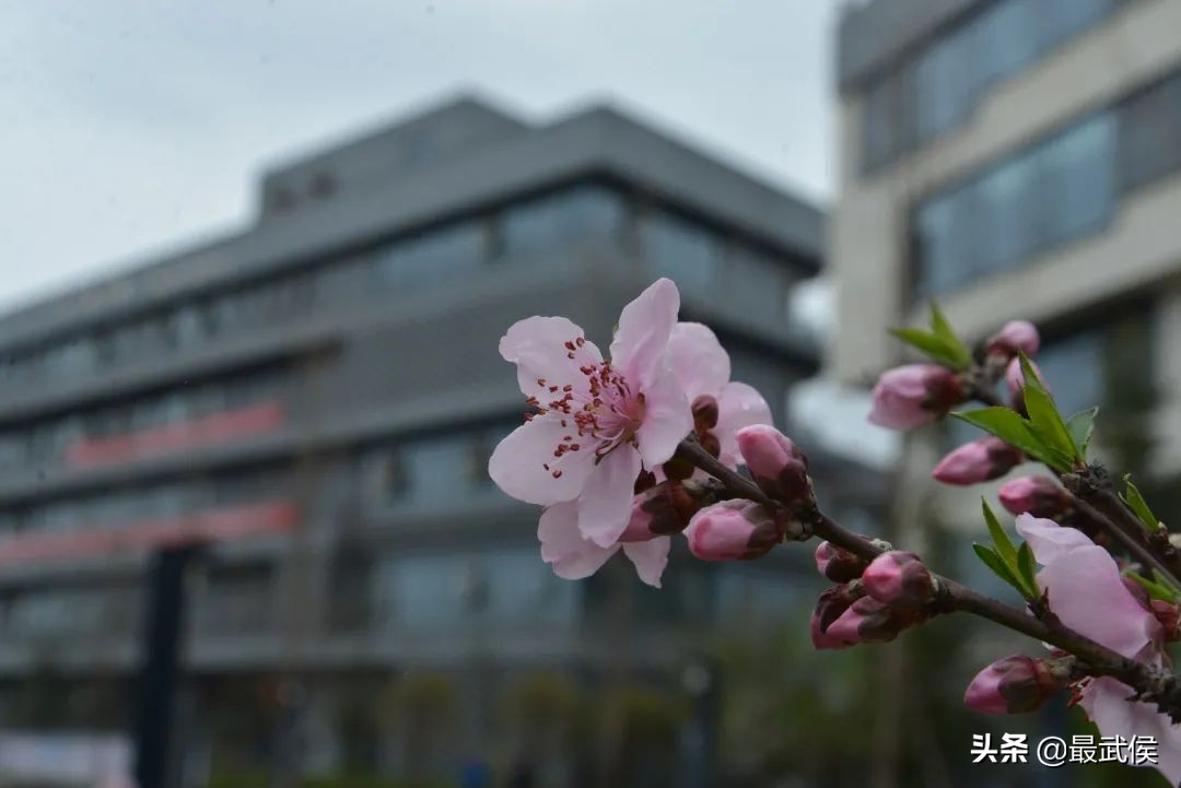 孩子开学生活步入正轨视频,开学后的校园生活