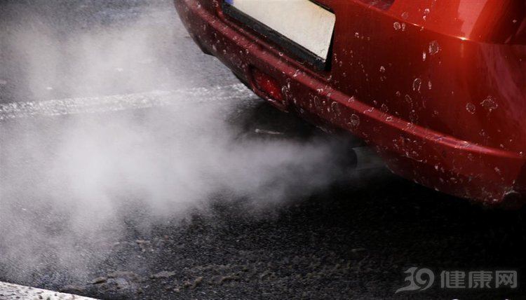 肺为什么被称为华盖之脏,肺为华盖的功效与作用