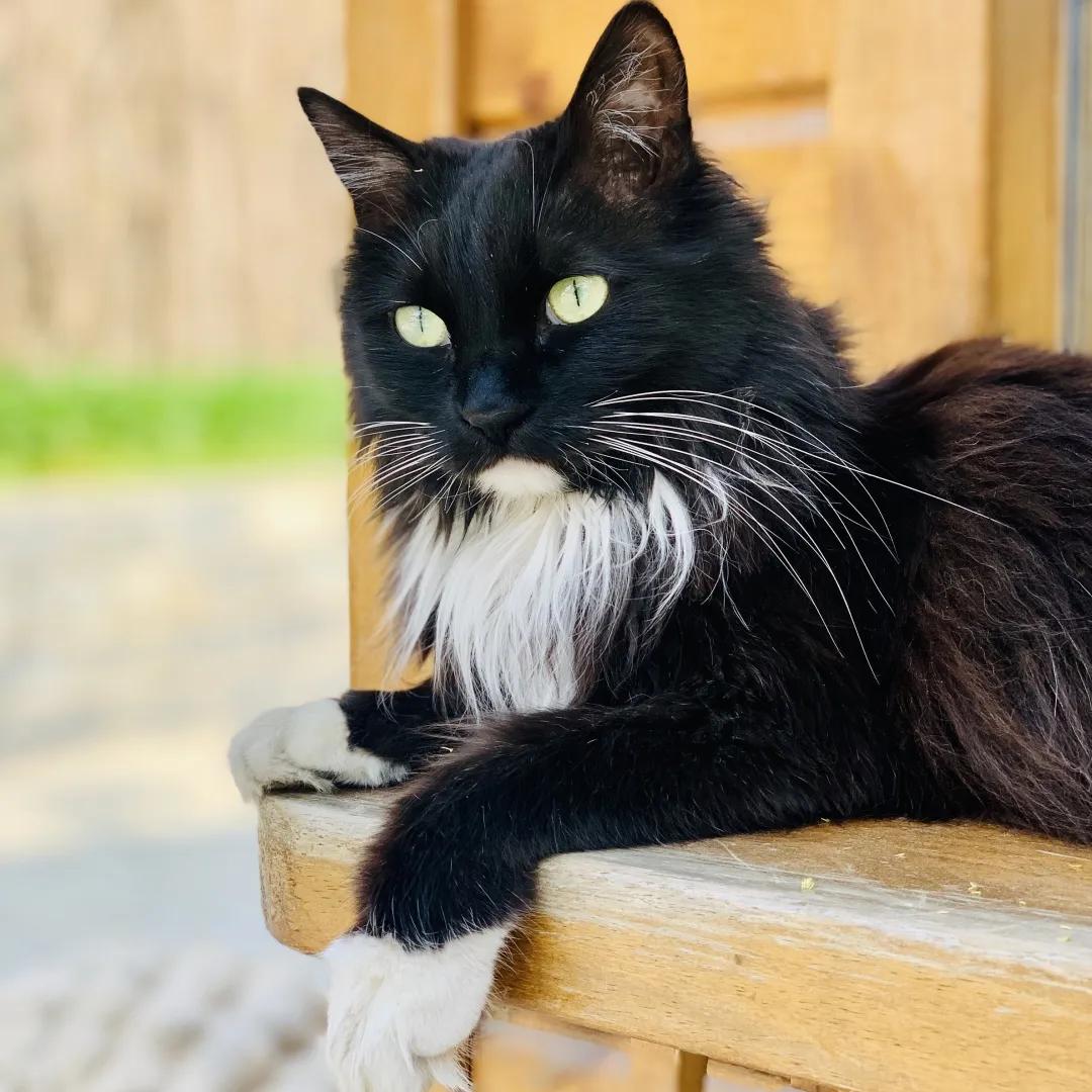 大家期盼的真实事件,掉缸事件怎么处理