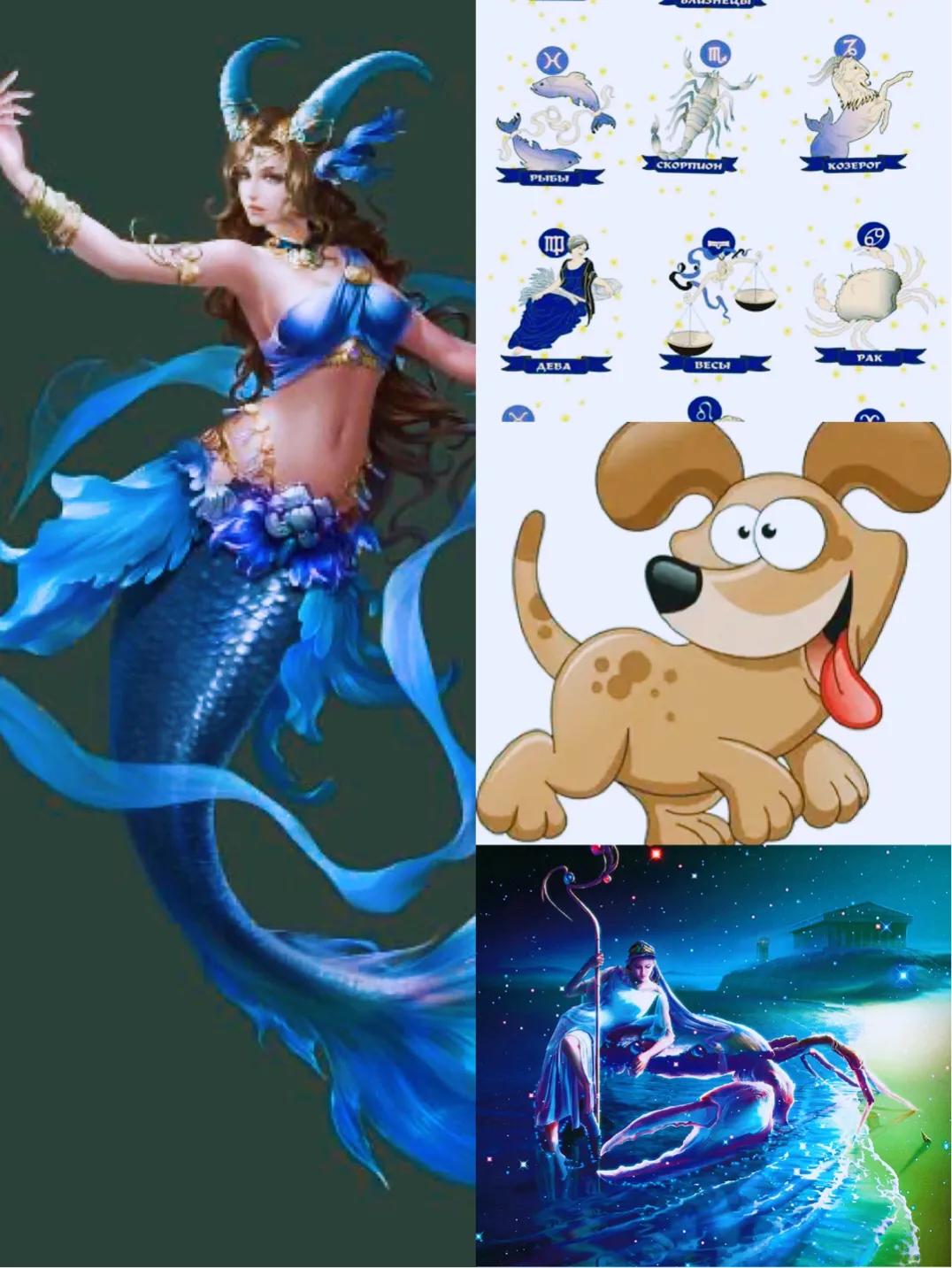 800多成语写尽星肖（星座+生肖）人生，属于你的只有6条