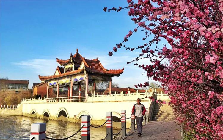 咏柳智永千字文,咏柳书法千字文