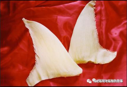 若海的视频,诺海