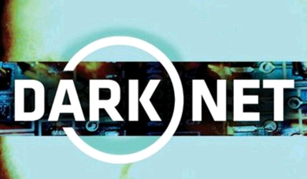 “暗网”中的非典型爱情，与二次元老婆恋爱是什么感觉？