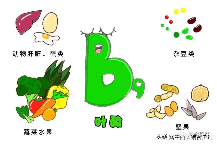 健康科普维生素b族你应该了解的,b族维生素和复合维生素b的区别