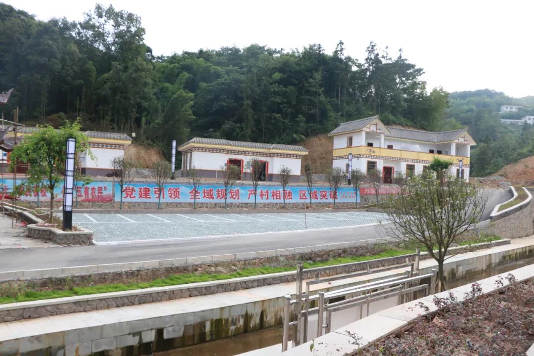 脱贫攻坚美丽的庭院行动,脱贫攻坚最美的风景