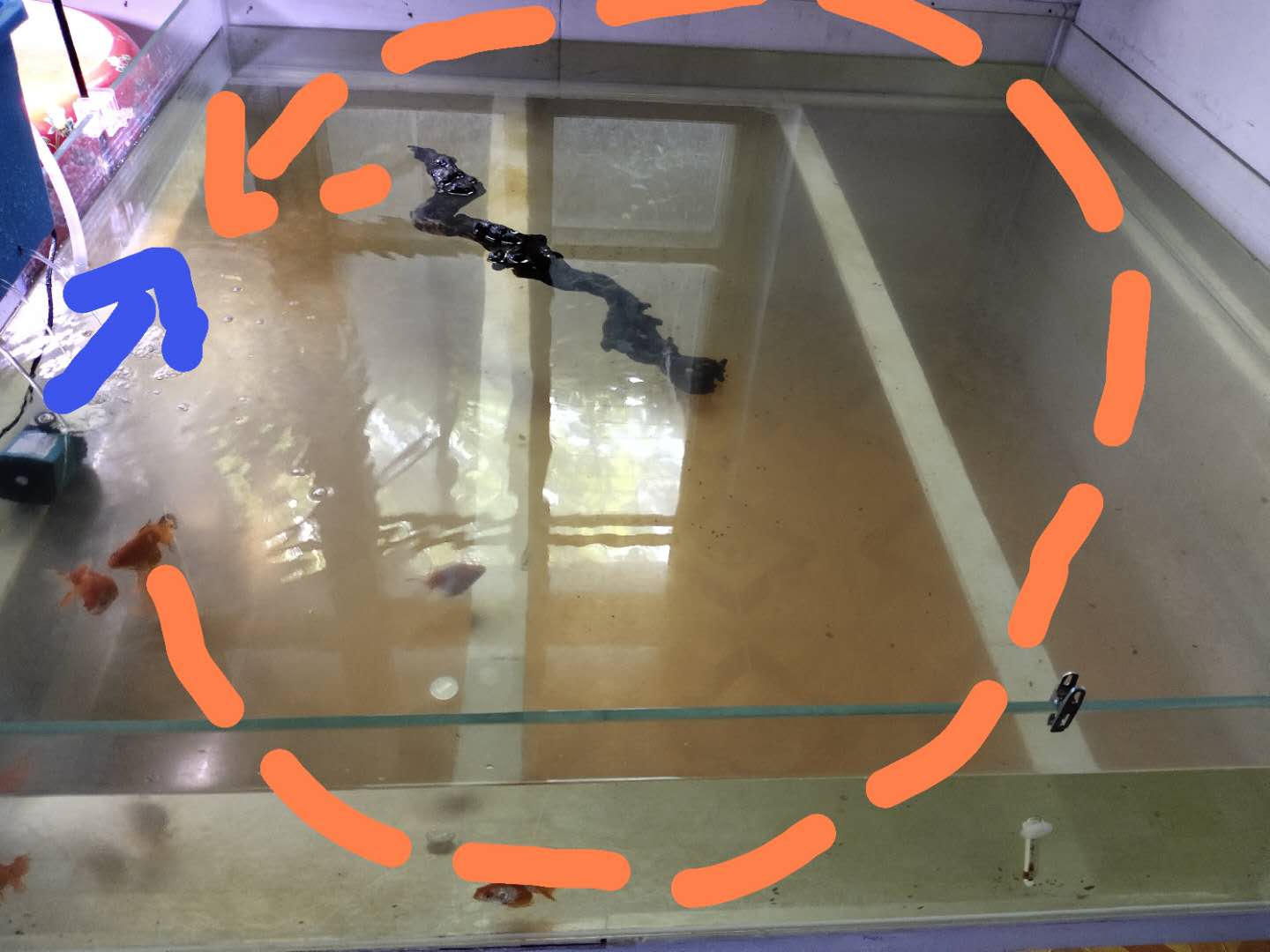 自制金鱼缸过滤设计,金鱼缸过滤设计