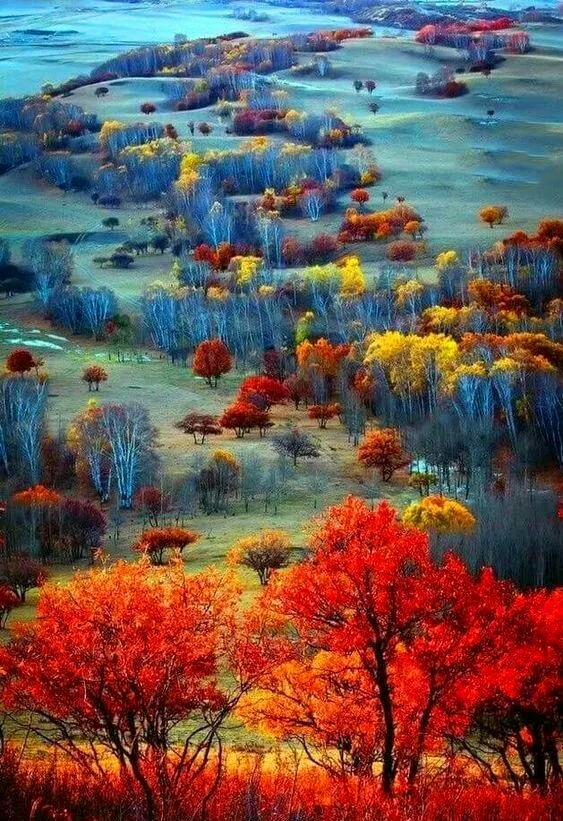 没有人可以放弃你自己,永远也不要放弃你自己