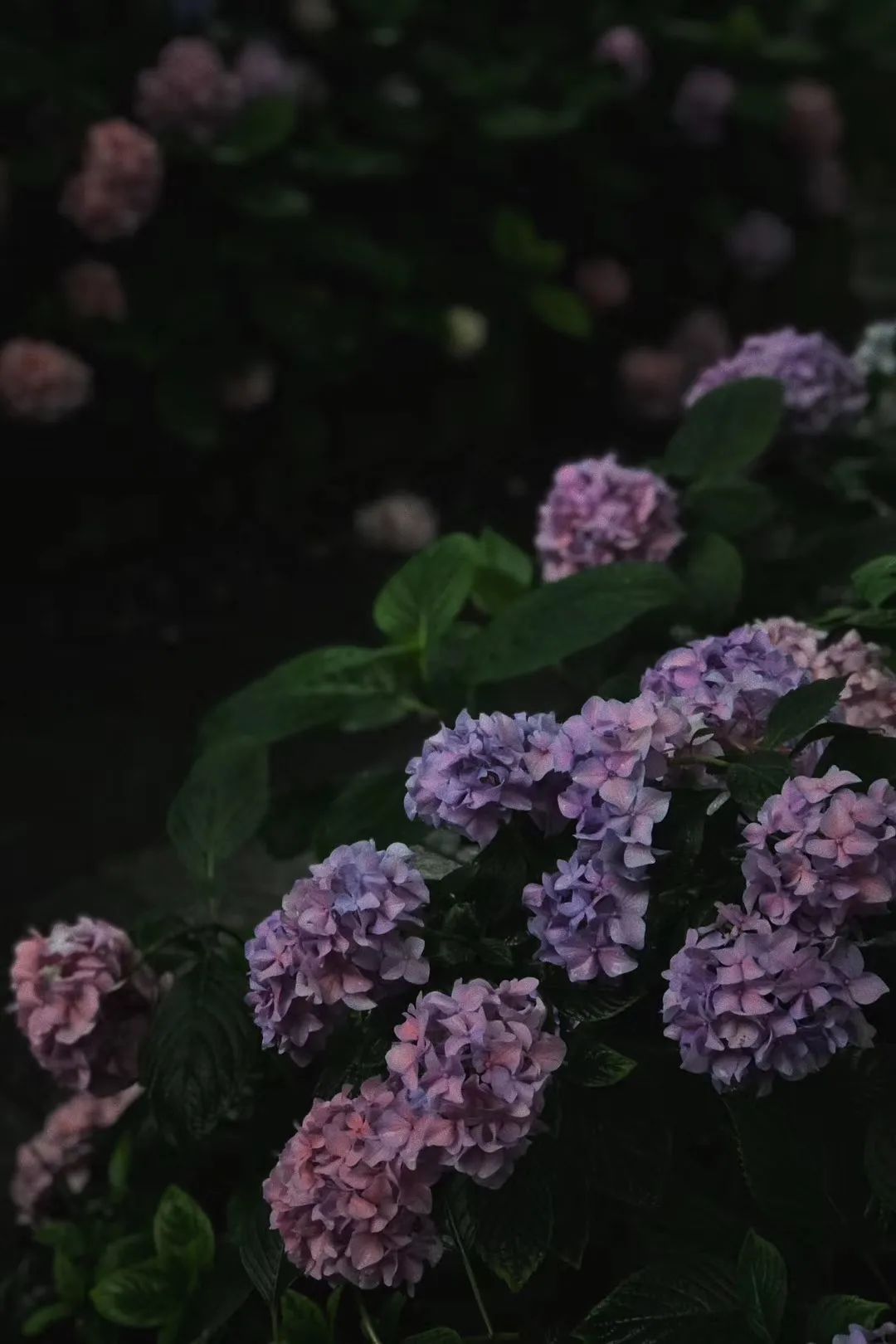 绍兴柯桥花间堂,花间堂酒店绍兴