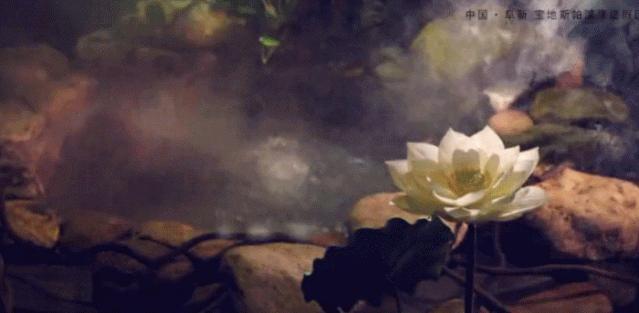 辽宁附近的温泉,辽宁省温泉分布图