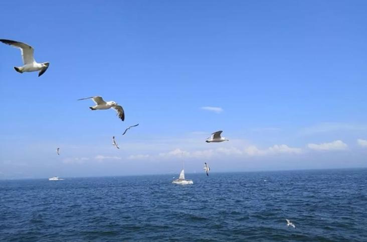 大连滨海路几月最美,大连最美季节