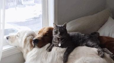 魏巍十大临床案例,魏巍临床经典案例