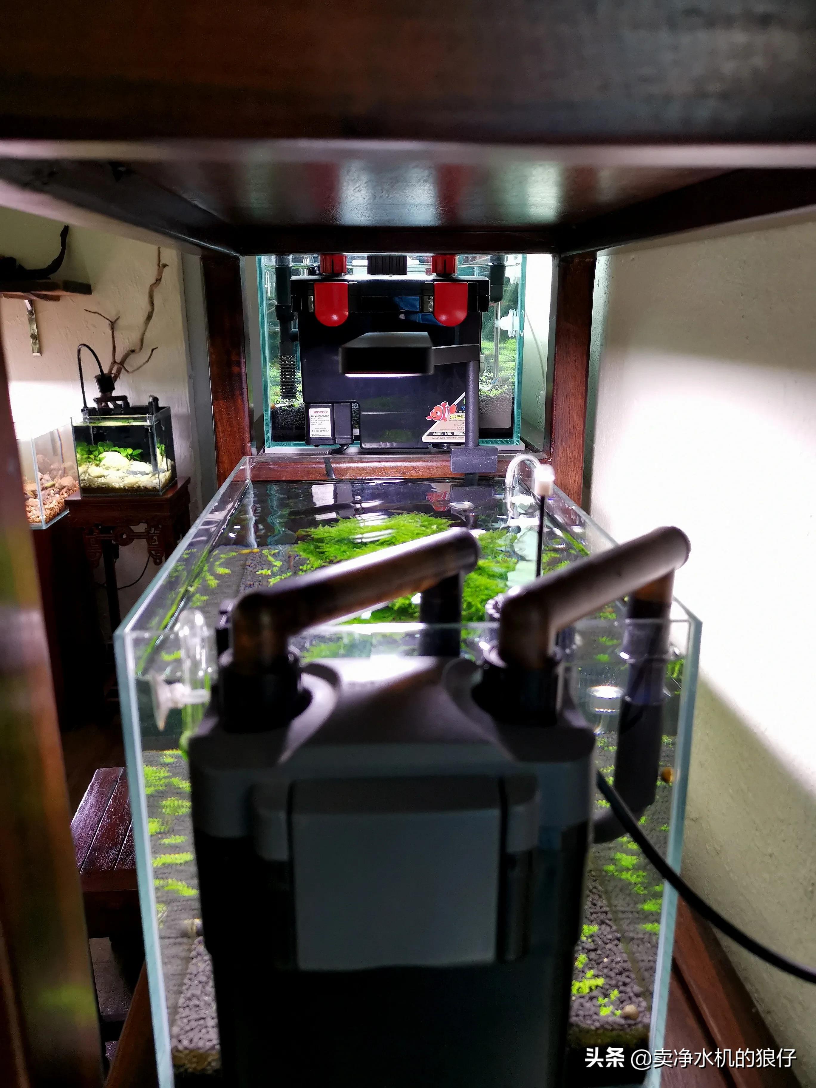 如何让小鱼缸变成空气缸,如何让鱼缸出现空气缸