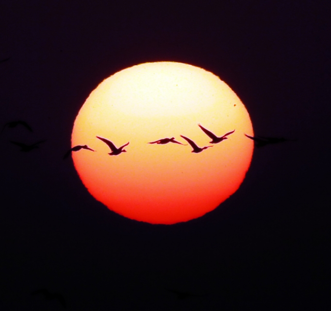 东营安康宾馆,东营宾馆如何