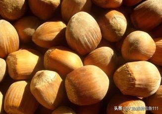 辽阳美食推荐必吃烤串,辽阳美食推荐必吃西餐