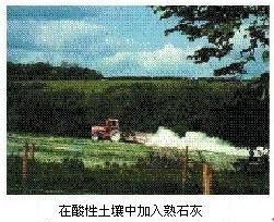 第十单元酸碱盐知识点,中考化学第十单元酸碱盐