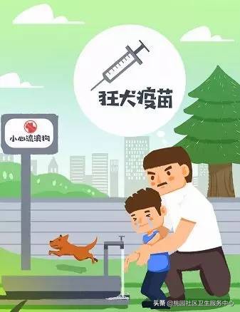 狂犬病的真相请不要再无知下去了,狂犬病不可怕别被谣言误导啦