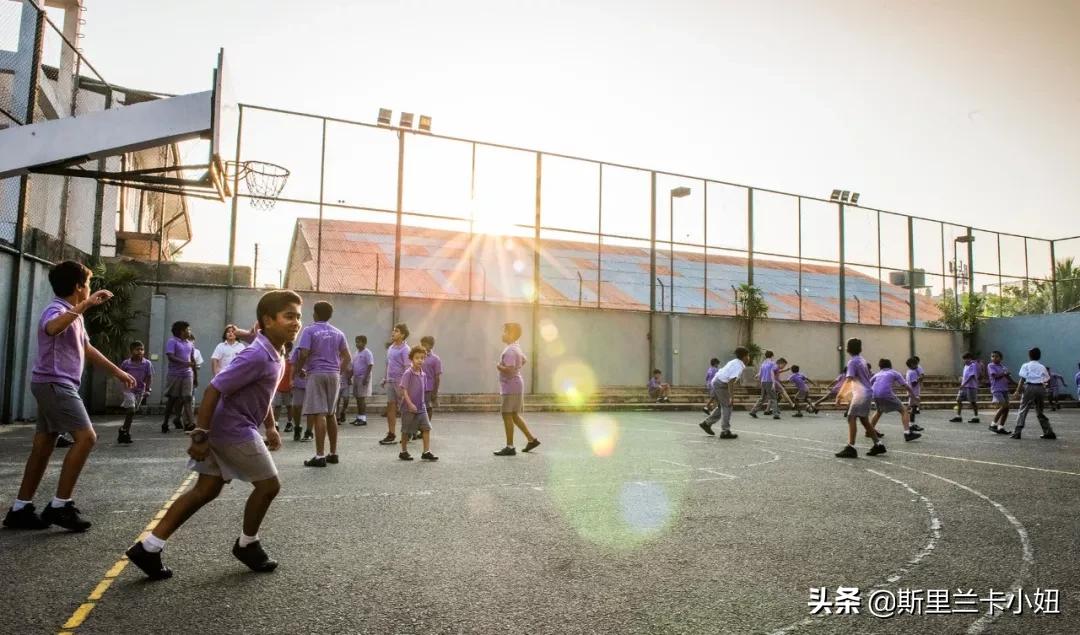 海外华人疫情纪实,疫情期间的外国故事