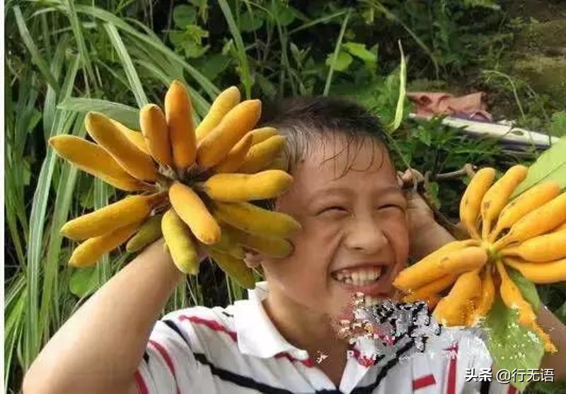 有趣的农村生活食物,农村生活农村娃农村美食