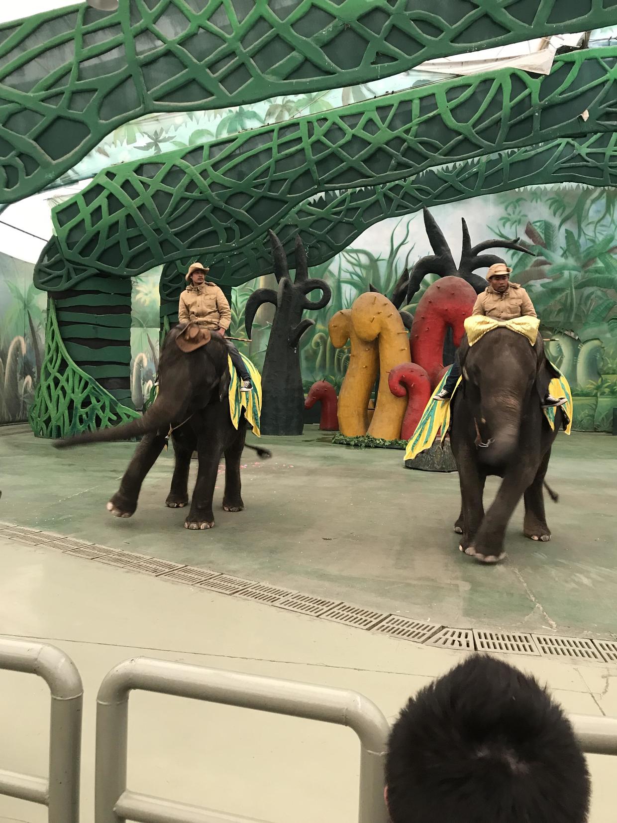 带着1米2以下的娃,如何玩转常州中华恐龙园,这份是最强旅游攻略