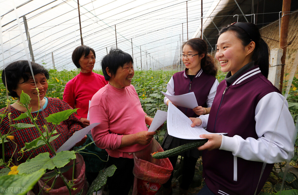 现在要不要去考事业编,现在考公务员还要不要政审