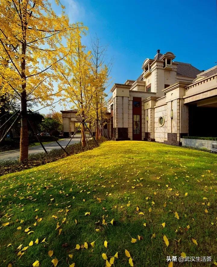 武汉十大富人区是哪几个,武汉十大富人区在哪