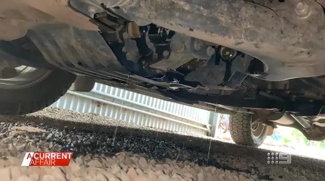 澳大利亚鼠灾事件视频,澳大利亚鼠害事件