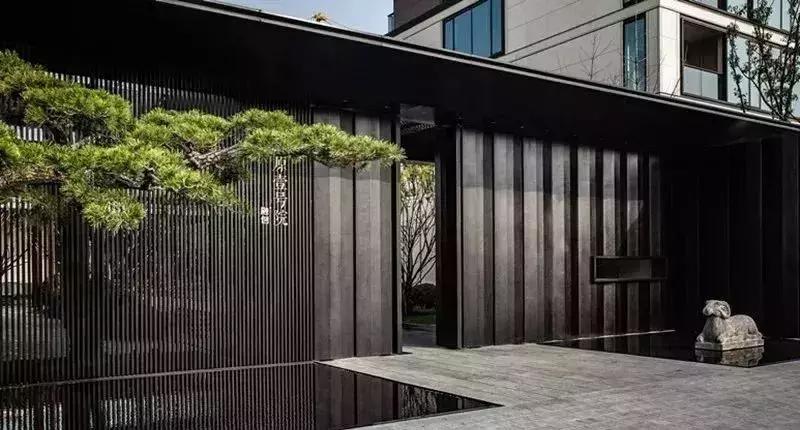 盘点郑州这些C位出道的热盘